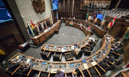 De forma sorpresiva, la ALP modifica proyecto de ley para viabilizar crédito de $us 100 millones de Japón