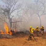 Defensa Civil reporta tres incendios en el país