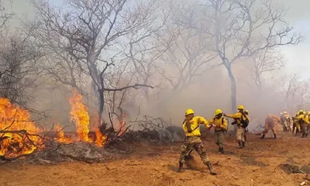 Defensa Civil reporta tres incendios en el país