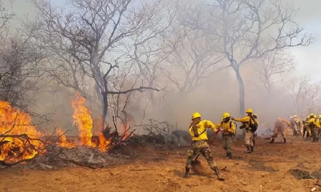 Defensa Civil reporta tres incendios en el país
