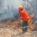 Tribunal Agroambiental dicta de oficio medidas cautelares contra incendios forestales y urge declarar desastre en el Parque Noel Kempff Mercado
