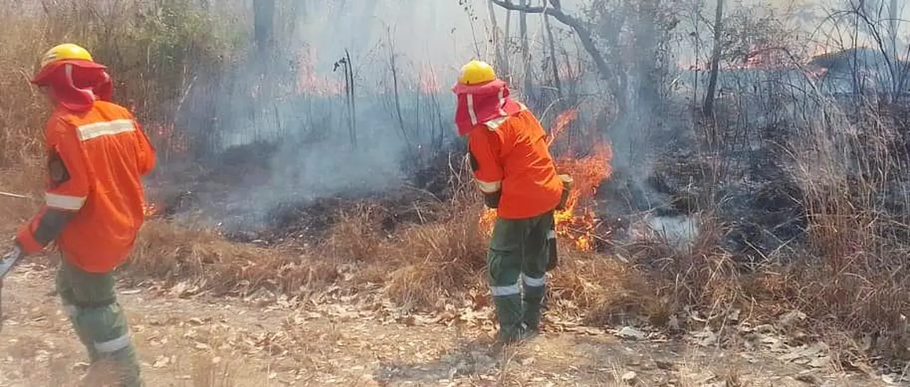 Tribunal Agroambiental dicta de oficio medidas cautelares contra incendios forestales y urge declarar desastre en el Parque Noel Kempff Mercado
