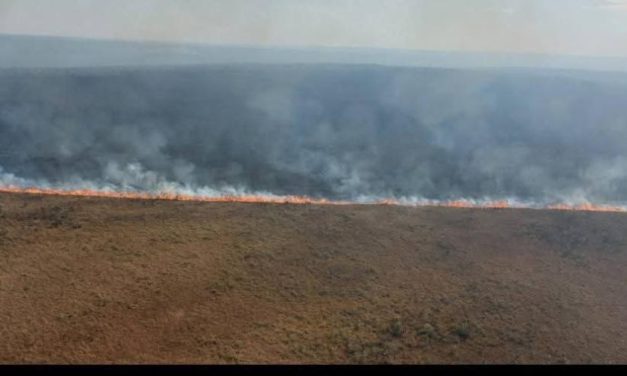 Incendio en Noel Kempff destruye más de 10.000 hectáreas