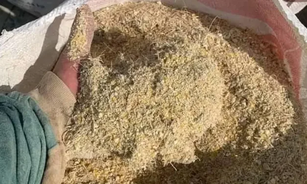 Sube hasta un 30% el costo de la cascarilla de soya y afecta la producción de pollo, huevo y leche