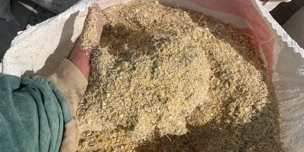 Sube hasta un 30% el costo de la cascarilla de soya y afecta la producción de pollo, huevo y leche