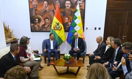 Arce se compromete a “asegurar una transición democrática” tras reunirse con delegaciones de la OEA y UE