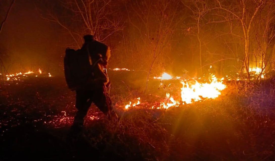 Incendios: Tribunal Agroambiental fija audiencia para el 29 de agosto y dispone notificación a Luis Arce