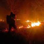 Incendios: Tribunal Agroambiental fija audiencia para el 29 de agosto y dispone notificación a Luis Arce