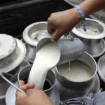 Fedeple dice que si en ocho días no se soluciona abastecimiento de diésel, cerrará la planta que abastece el 78% de leche a la industria