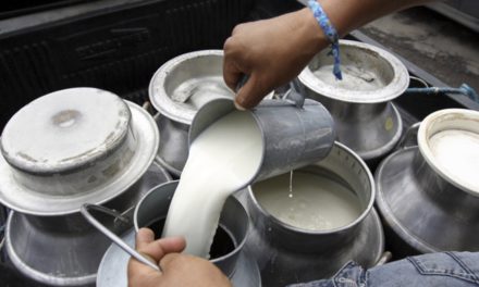 Fedeple dice que si en ocho días no se soluciona abastecimiento de diésel, cerrará la planta que abastece el 78% de leche a la industria