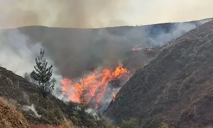 Alcaldía proyecta sofocar incendio en Sama este martes
