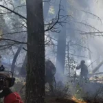 Gobierno declara emergencia nacional en Bolivia por incendios forestales