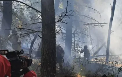 Gobierno declara emergencia nacional en Bolivia por incendios forestales