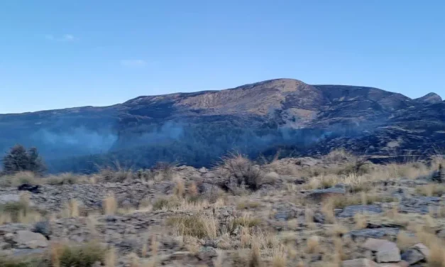 Cuatro incendios forestales afectan Cochabamba en tres días