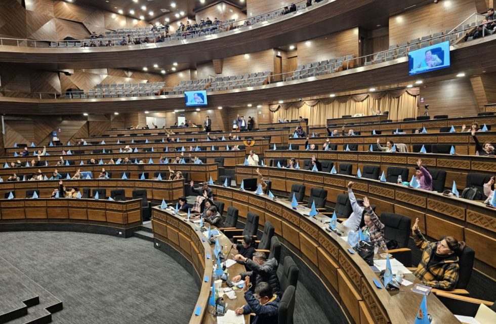 Advierten vulneraciones constitucionales en proyecto de ley que busca proteger menores en entornos digitales
