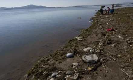 Crisis ambiental del Titicaca causa el éxodo forzado de familias