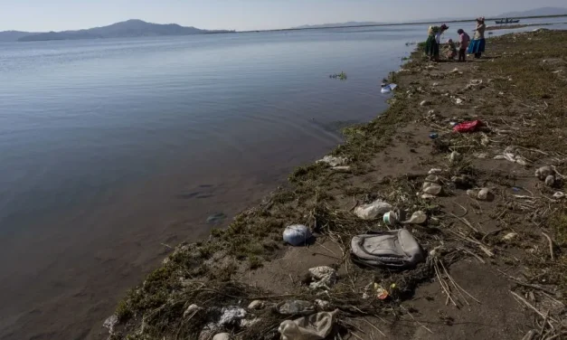 Crisis ambiental del Titicaca causa el éxodo forzado de familias