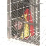 Jeanine Áñez presenta nuevo recurso de revisión extraordinaria de sentencia y denuncia vulneración de sus derechos