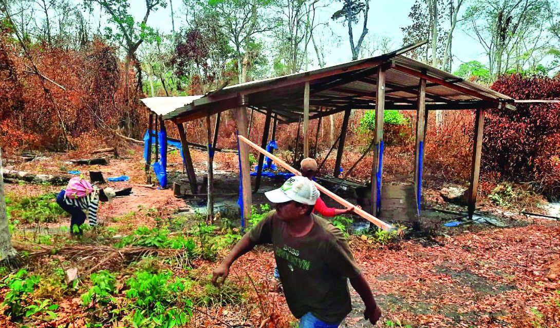 CAO denuncia 160 predios avasallados y exige sanciones
