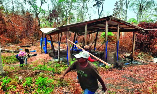 CAO denuncia 160 predios avasallados y exige sanciones