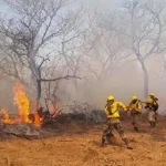 Gobernación cruceña alista declaratoria de emergencia por incendios
