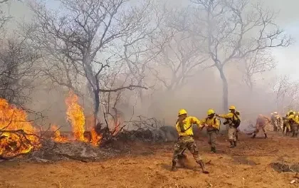 Gobernación cruceña alista declaratoria de emergencia por incendios