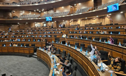 Asamblea aprueba ley para proteger a niños en entornos digitales y Arce tiene 10 días para su promulgación