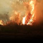 Tribunal Agroambiental emplaza a autoridades a actuar contra los incendios en Bolivia