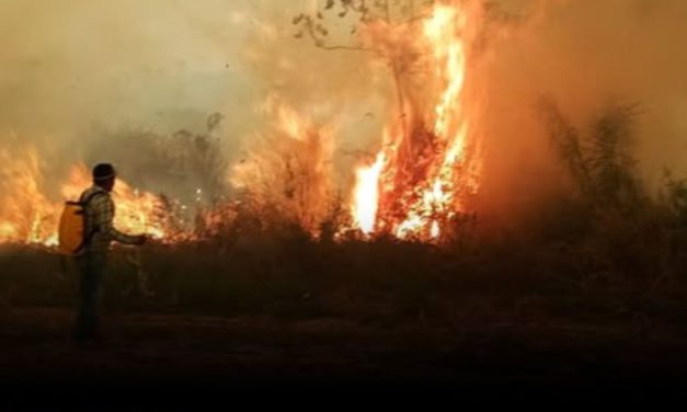 Tribunal Agroambiental emplaza a autoridades a actuar contra los incendios en Bolivia