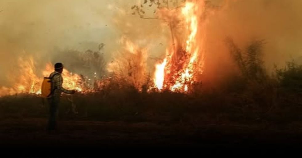 Tribunal Agroambiental emplaza a autoridades a actuar contra los incendios en Bolivia