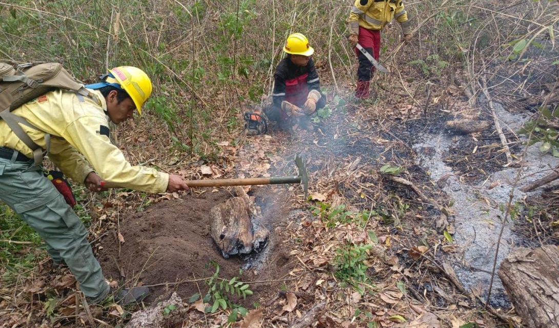 ABT inició 15 procesos penales y 75 administrativos por quemas e infracciones a norma forestal