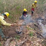 ABT inició 15 procesos penales y 75 administrativos por quemas e infracciones a norma forestal