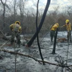 Camacho advierte que la situación de incendios puede agravarse en octubre y noviembre 