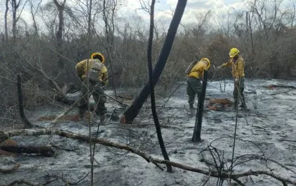 Camacho advierte que la situación de incendios puede agravarse en octubre y noviembre 
