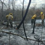 Santa Cruz: Experto dice que ráfagas y las altas temperaturas generan “condiciones” para que los incendios se acentúen 