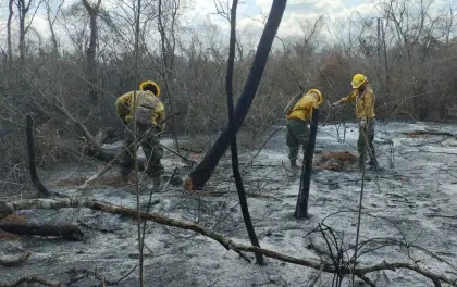 Santa Cruz: Experto dice que ráfagas y las altas temperaturas generan “condiciones” para que los incendios se acentúen 