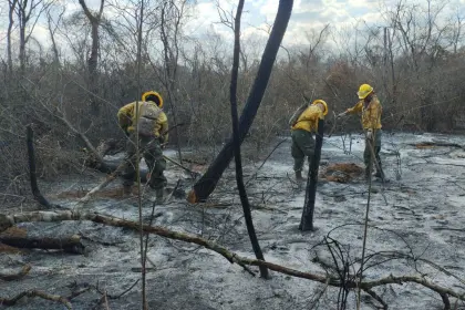 Santa Cruz: Experto dice que ráfagas y las altas temperaturas generan “condiciones” para que los incendios se acentúen 