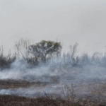 Tribunal Agroambiental da 48 horas para frenar incendios