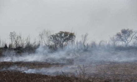 Tribunal Agroambiental da 48 horas para frenar incendios