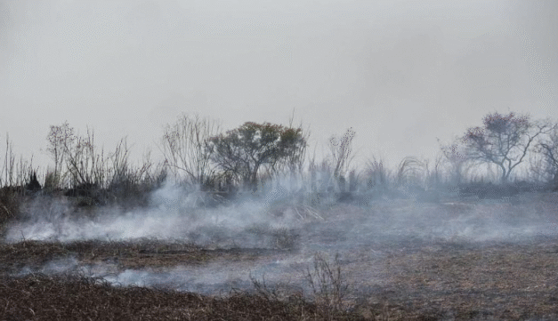 Tribunal Agroambiental da 48 horas para frenar incendios
