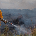 Lluvias parciales no apagan incendios en Santa Cruz