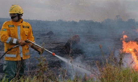 Lluvias parciales no apagan incendios en Santa Cruz