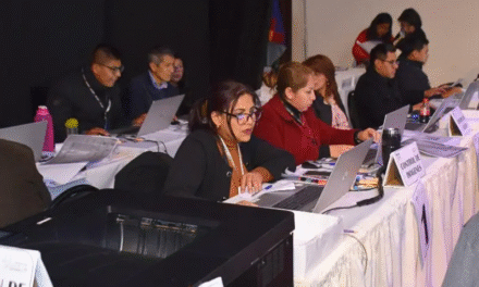 TSE ratifica transparencia tras denuncia por caso Agetic