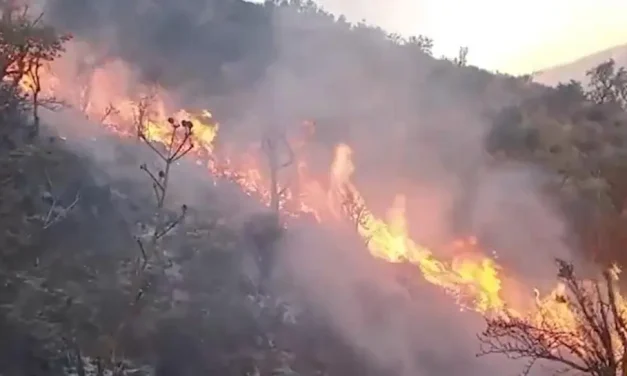 Incendio en Tolata se expande por fuertes vientos