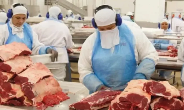 Demanda global empuja precios de la carne a niveles récord en el mercado mundial, según Bloomberg
