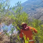 Incendios forestales: Gobierno activa alerta roja en cuatro municipios y alerta naranja en 80 municipios