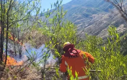 Incendios forestales: Gobierno activa alerta roja en cuatro municipios y alerta naranja en 80 municipios