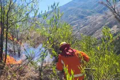 Incendios forestales: Gobierno activa alerta roja en cuatro municipios y alerta naranja en 80 municipios