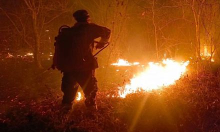 Llamado urgente para garantizar condiciones dignas a bomberos