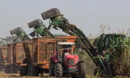 Pese a la crisis y los factores climáticos, Santa Cruz es la región que más aporta a la economía de Bolivia